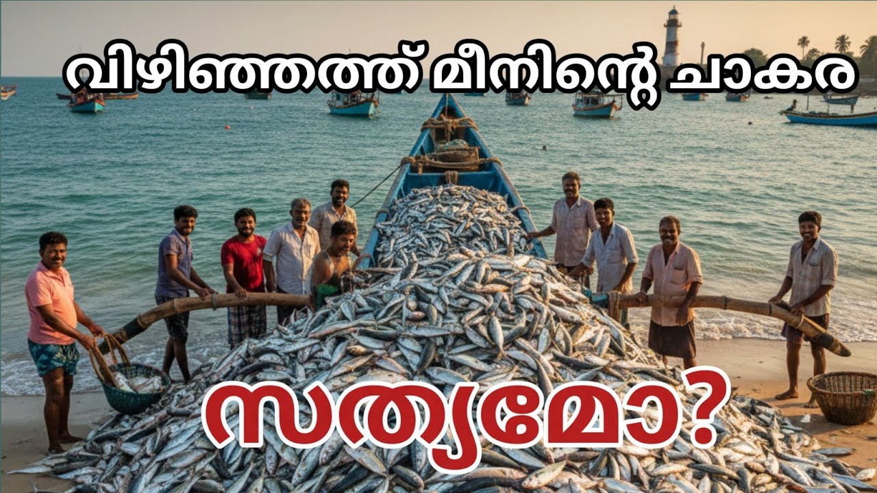 Vizhinjam fishing harbour | വിഴിഞ്ഞത്തെ മീൻ ചാകര | #vizhinjamseaport #vizhinjam #fishing #harbour 