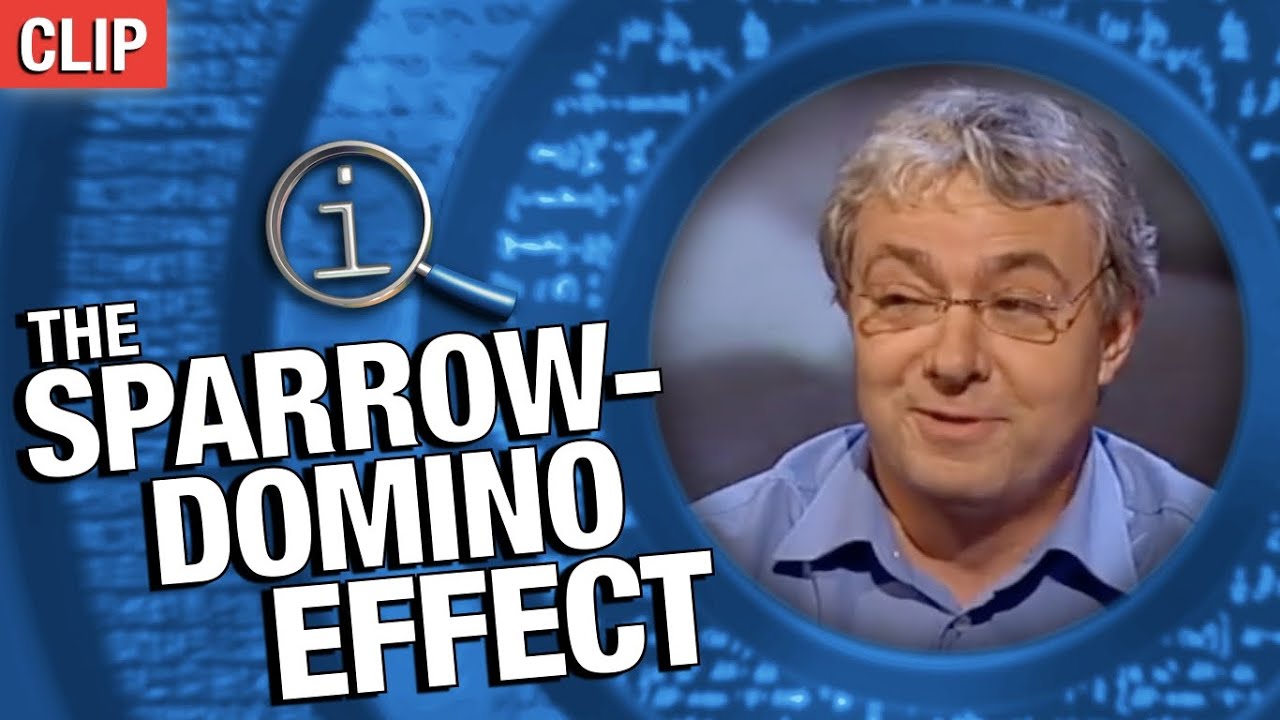 The Sparrow-Domino Effect | QI