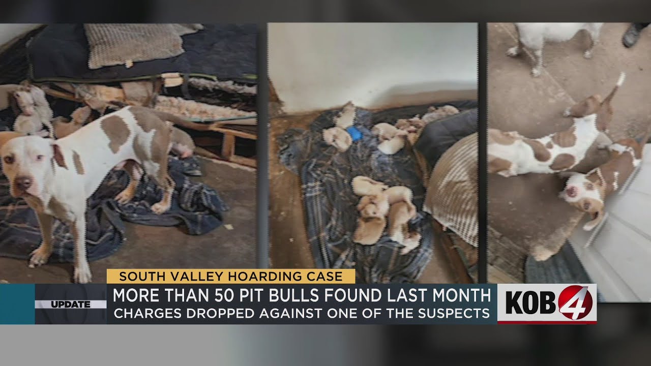 Charges dropped against brother in pit bull animal cruelty case