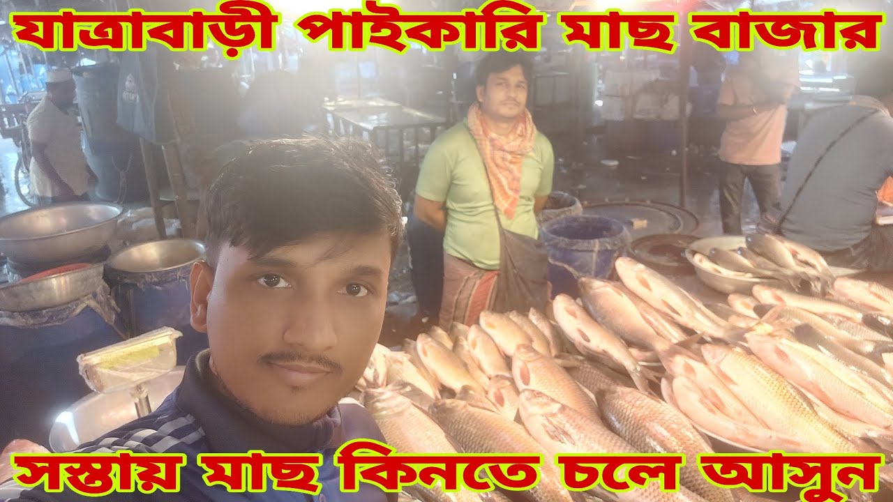 সস্তায় মাছ কিনুন যাত্রাবাড়ী পাইকারি মাছ বাজার থেকে / Fish Prices 25 February 2026 || My Life