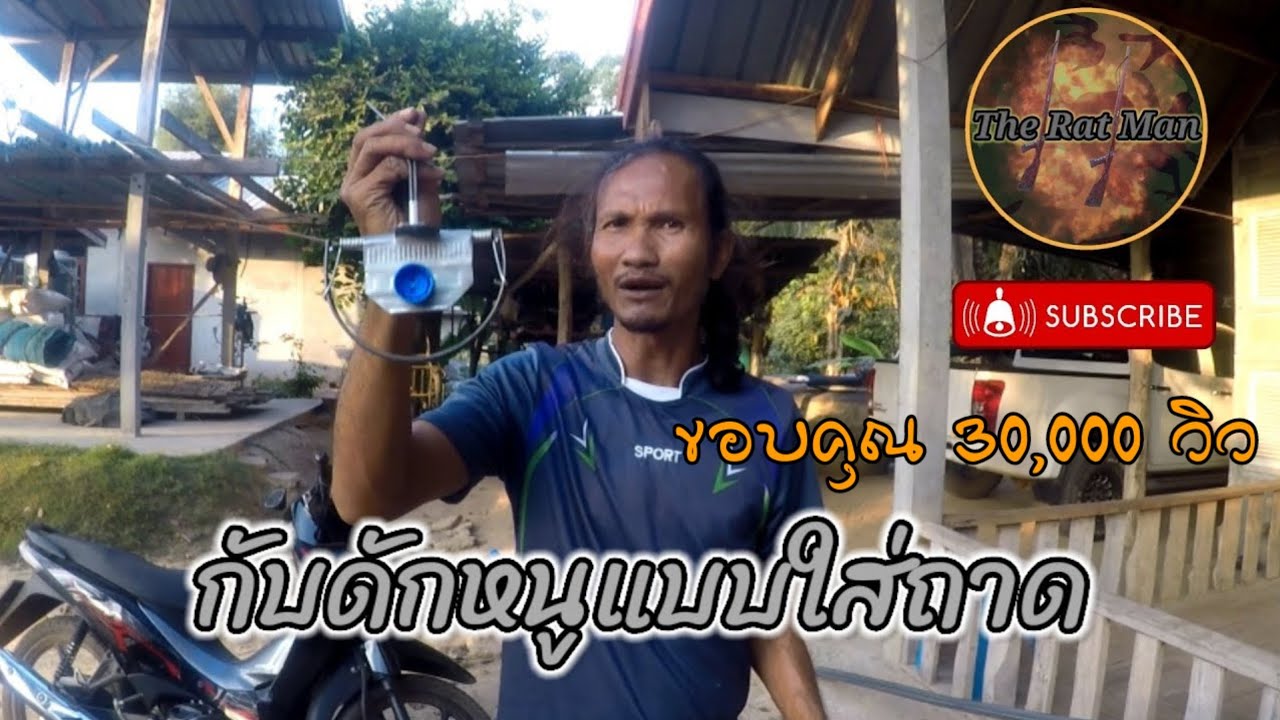 ดักหนูนาวิธีทำกับเหล็กดักหนูฉบับใส่ถาด