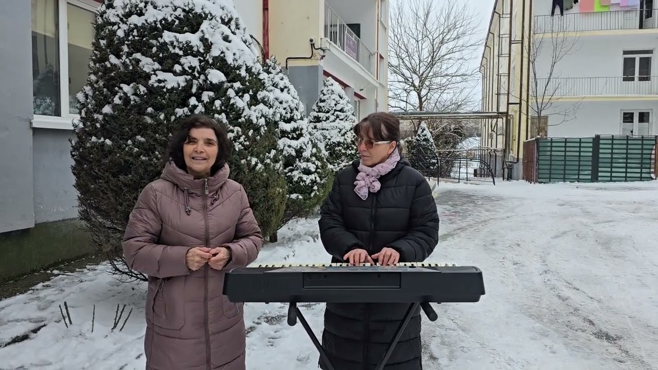 VINE  IARNA❄️❄️❄️