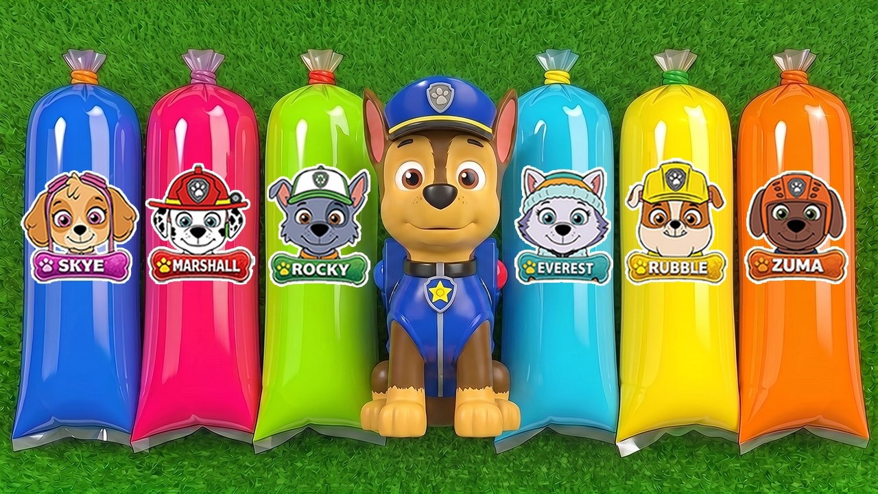 All Best Paw Patrol Toys | Chase, Rocky, Everest, Marshall, Rubble, Skye, Zuma, Ryder, Robo-dog