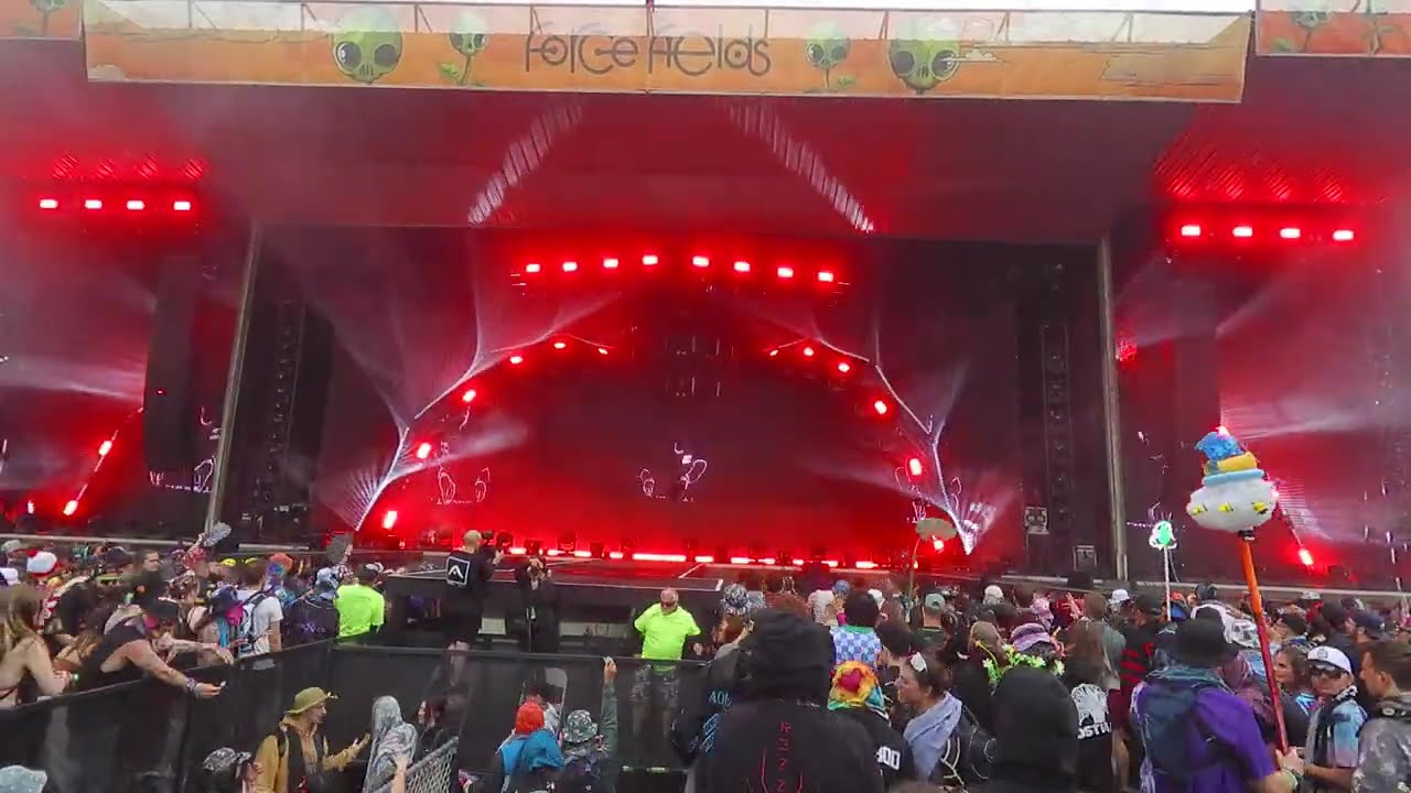 Peekaboo - Live at Force Fields 2025