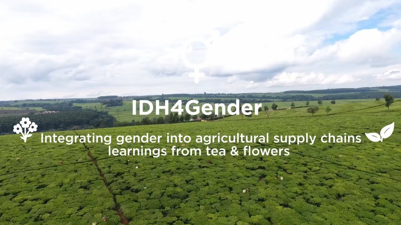 IDH4Gender - The Tea and Flower Experiences