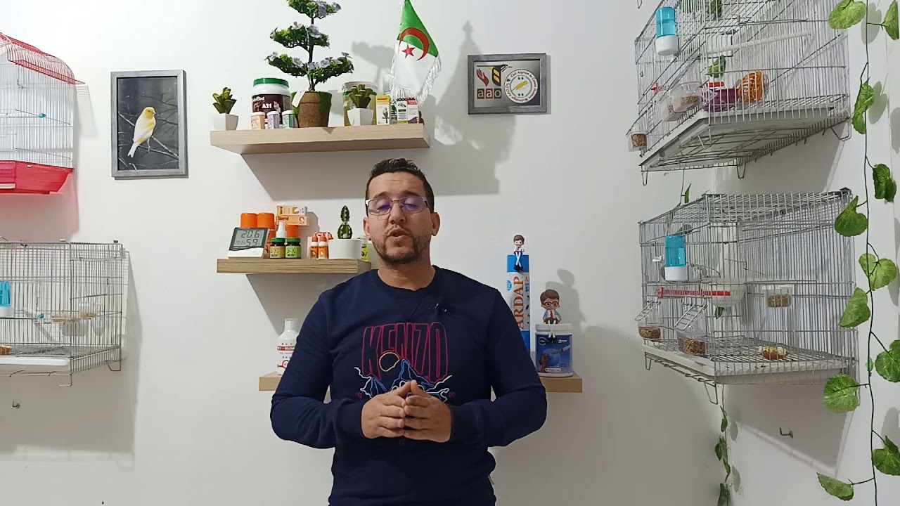 أمراض الكبد للطيور