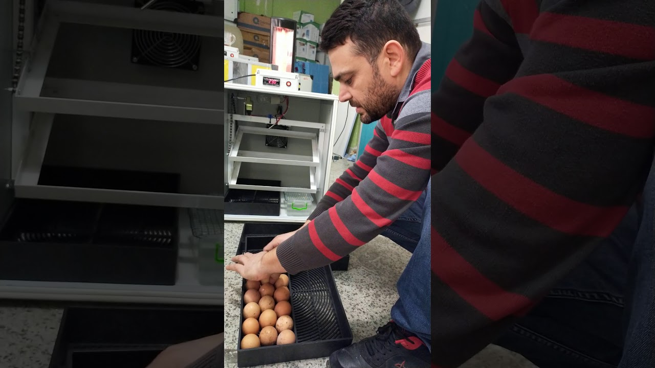 Doğal nemlendirmeli 110 kapasiteli kuluçka makinemiz EVRENSEL KULUÇKA   05061475208