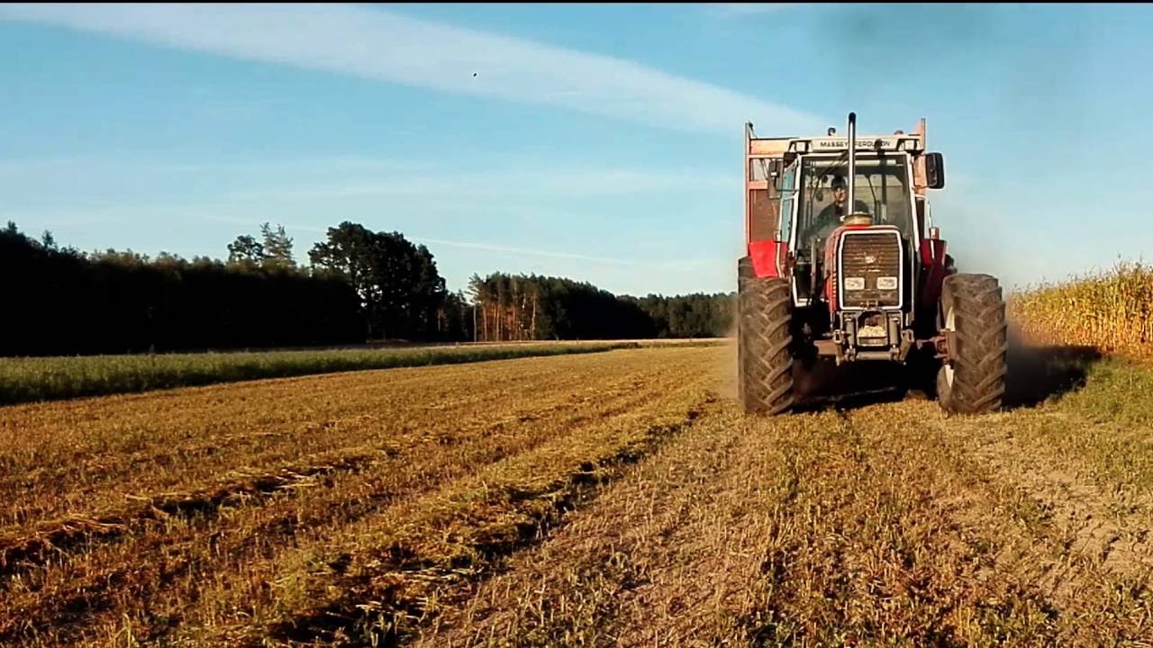 ㋡ Akcja QQ 2016 ,czyli kukurydza z FHU TATAREK ㋡/ 4x Massey Ferguson /John Deere 7400/ Jaciążek ㋡