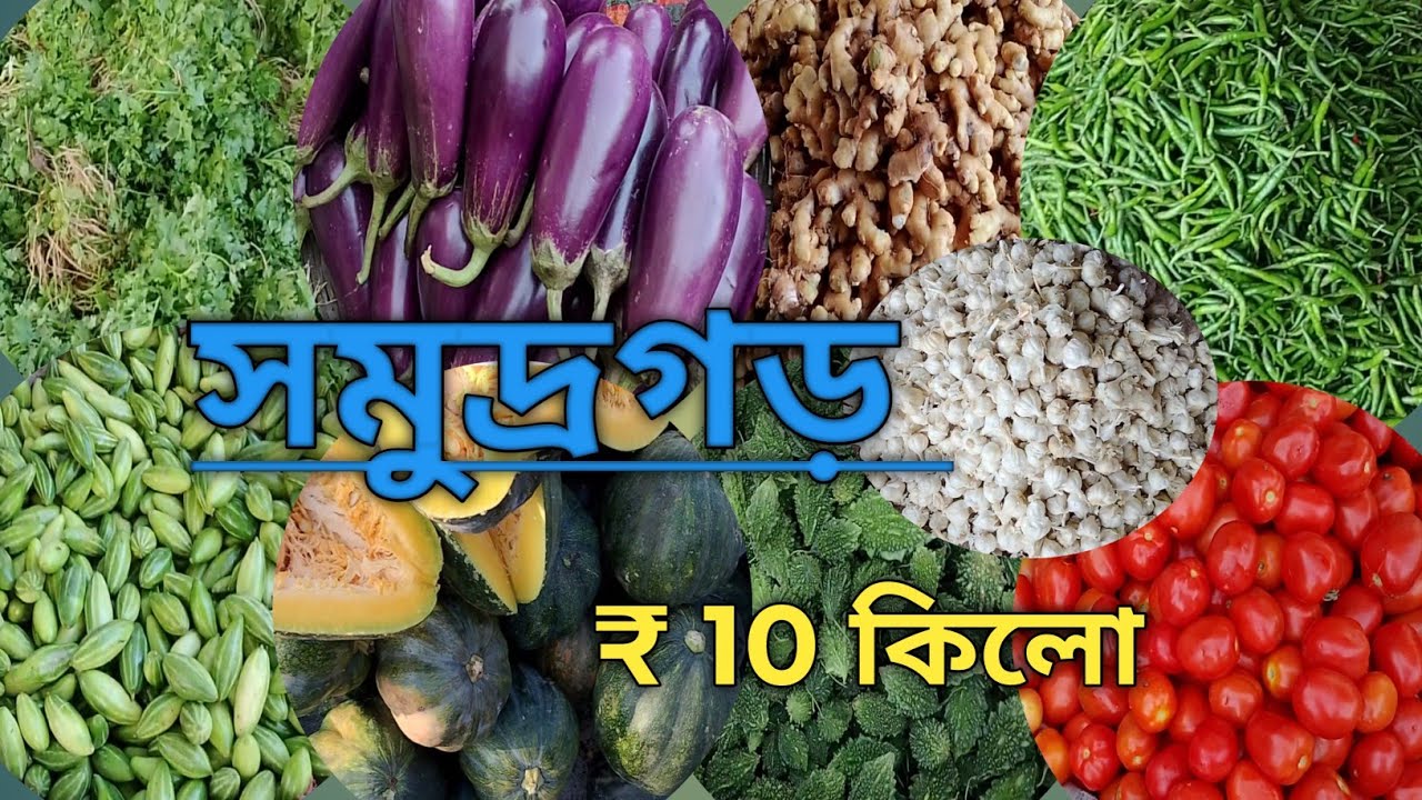 সমুদ্রগড় সবজি পাইকারি আড়ত 2025 | vegitable wholesale market in West Bengal 2025 | 