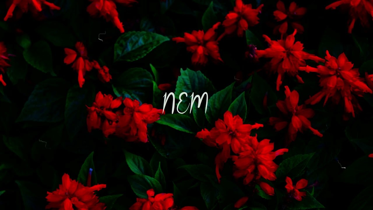 Bouss X Ninho Type Beat - 