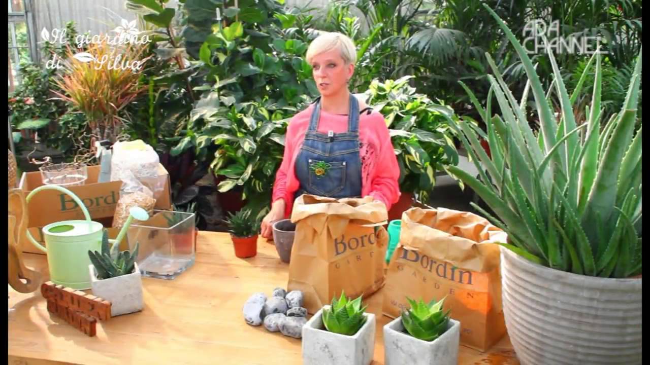 Il giardino di Silva - Puntata 7 - Aloe