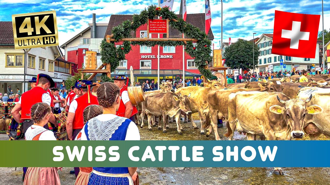 Swiss Custom 🇨🇭Cattle Show Urnäsch Part 1🐮 the cows come to the show - yodeling at the square 🫶