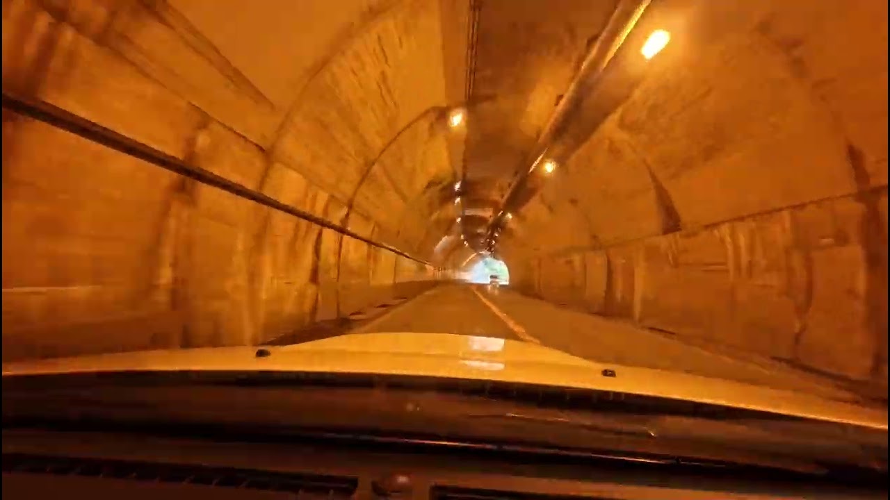 ハチ北へゴー2026030102