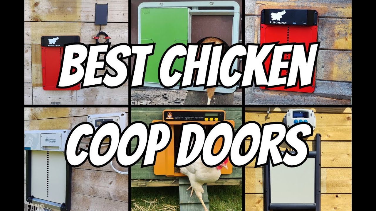 Best Automatic Chicken Coop Doors (2025 Update)