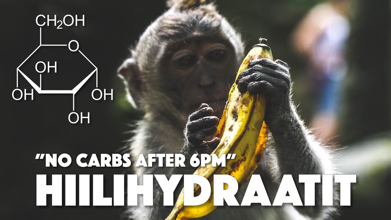 HIILIHYDRAATIT | MITÄ, MIKSI, PALJON, MILLOIN?