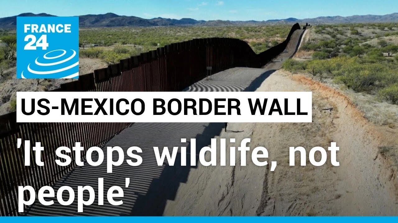 US-Mexico border wall: ‘Easily defeated’ by humans, disastrous for wildlife • FRANCE 24