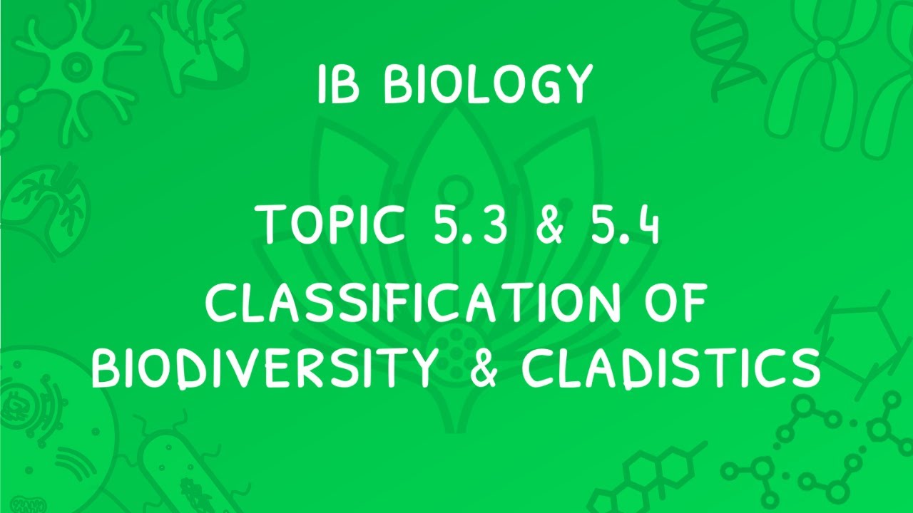 IB Biology Topic 5.3 & 5.4: The Binomial System, Classification & Cladistics