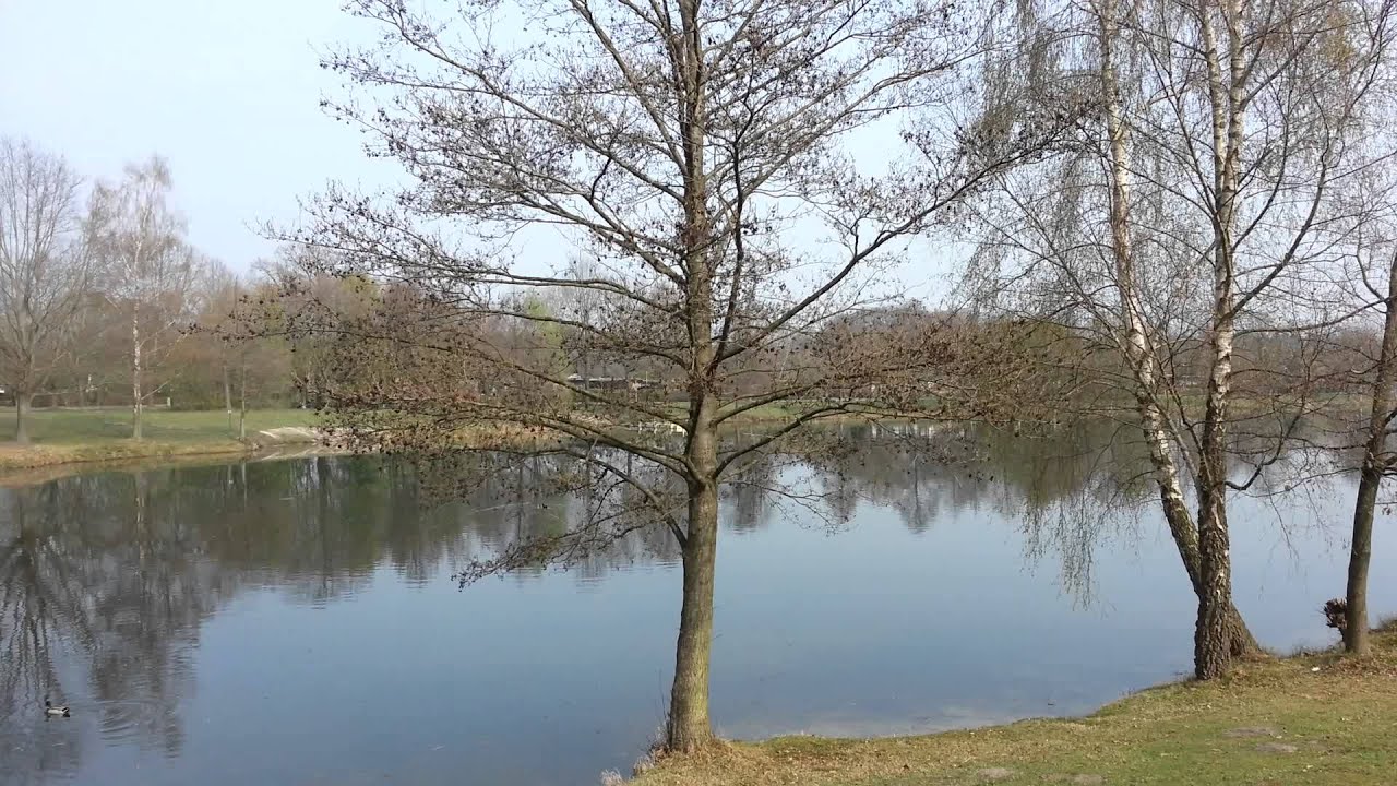 kronensee