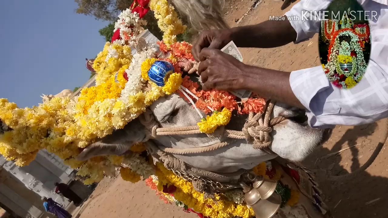 Aruvanahalli Beereswara Tempale Maddur Mandya Kanakasree vedeo 9035837369