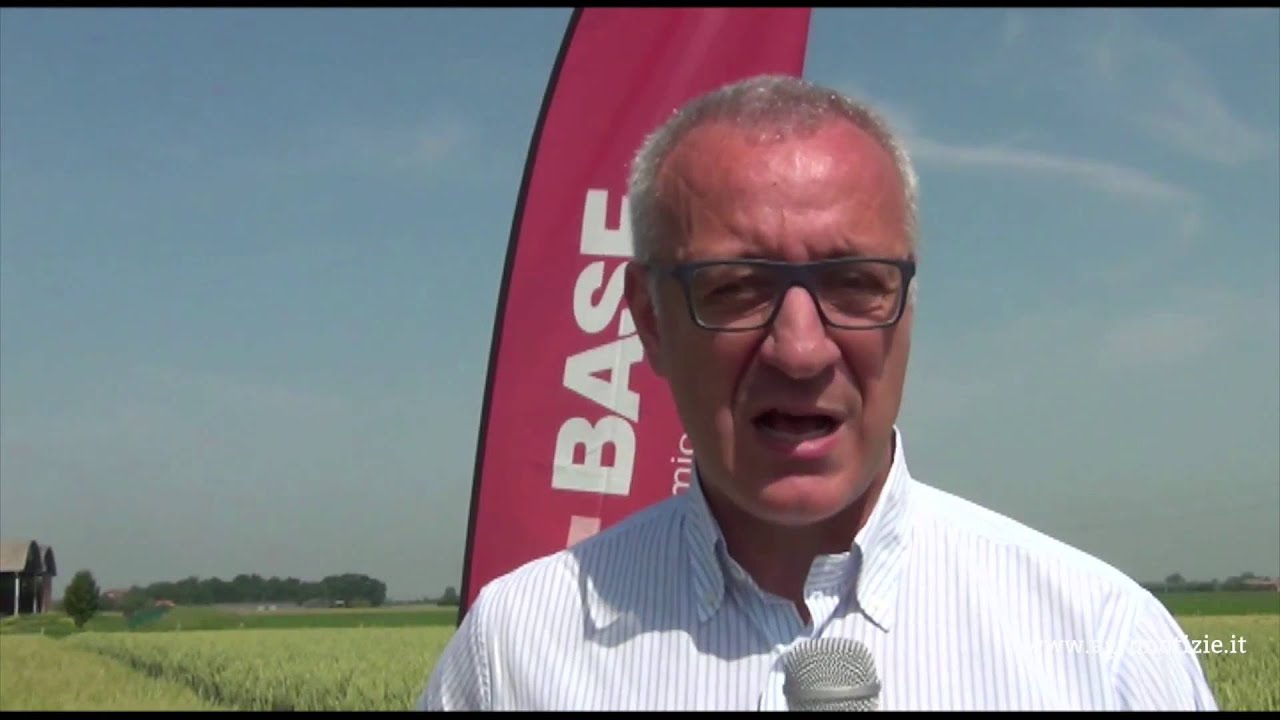 Piattaforma Cereali a paglia - in campo con A. Ancora BASF