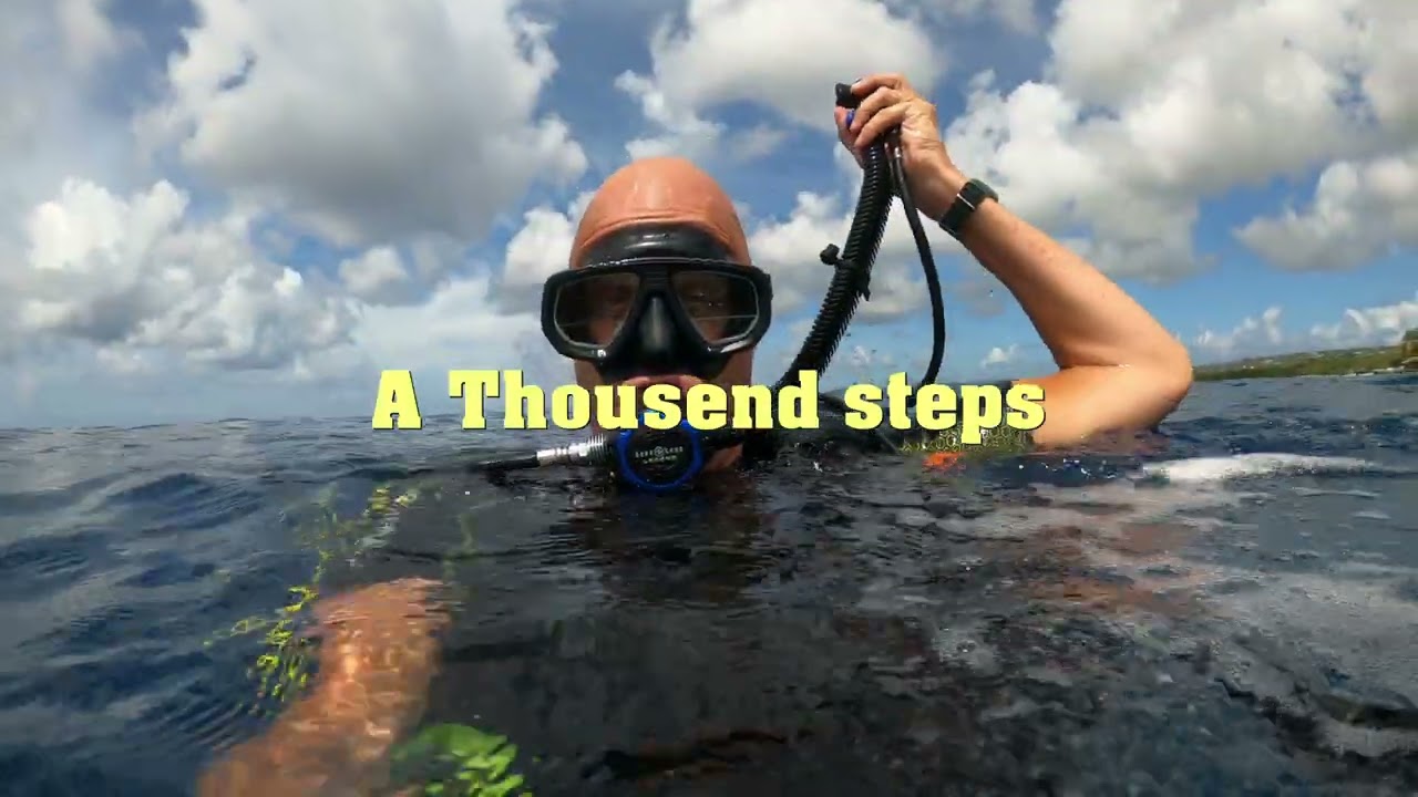Bonaire Diving Oktober 2024