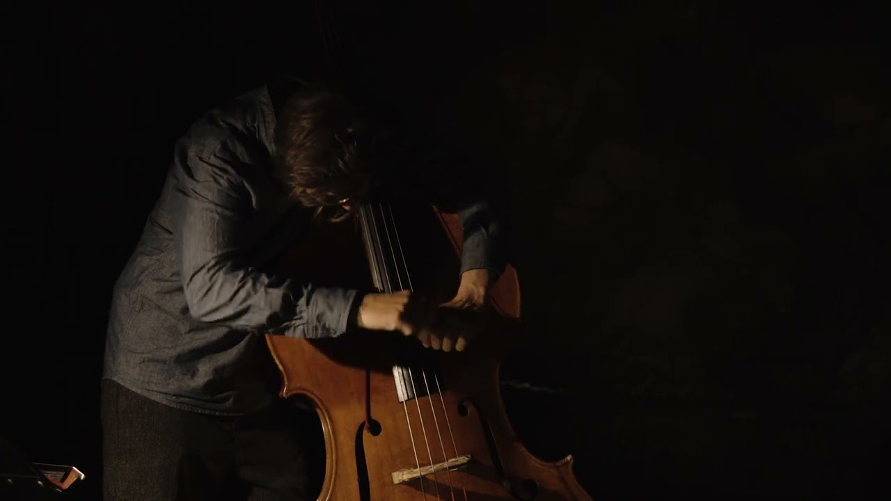 H&aring;kon Thelin: Ferrytail