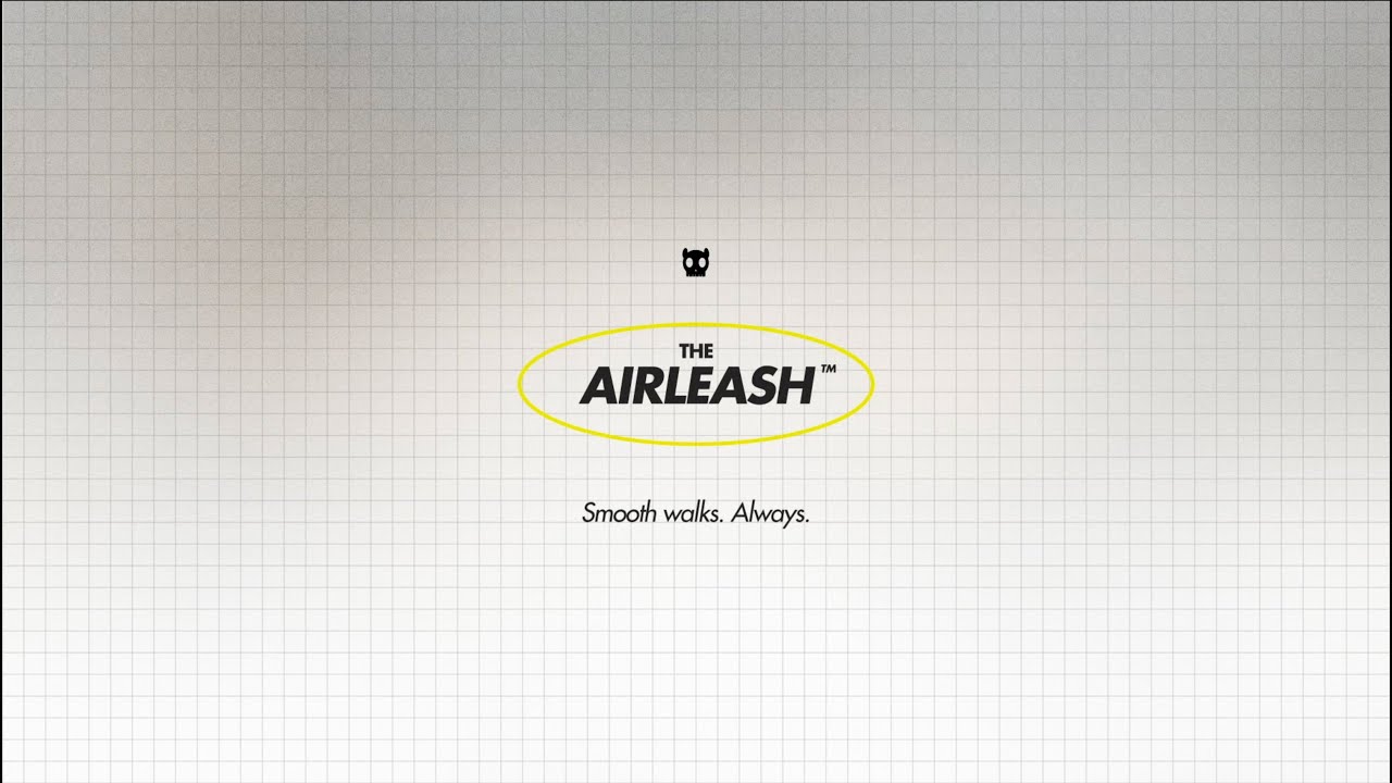 Zee.Dog Behind the Design - AirLeash