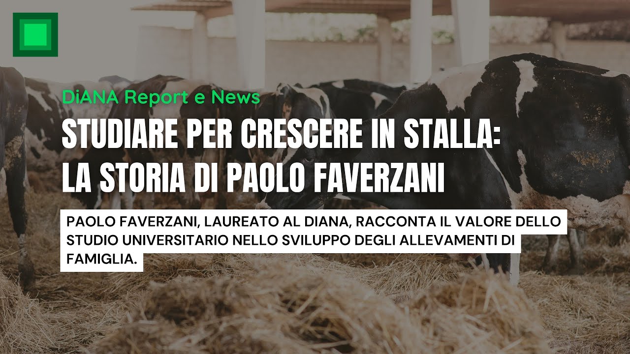 Studiare per crescere in stalla: la storia di Paolo Faverzani