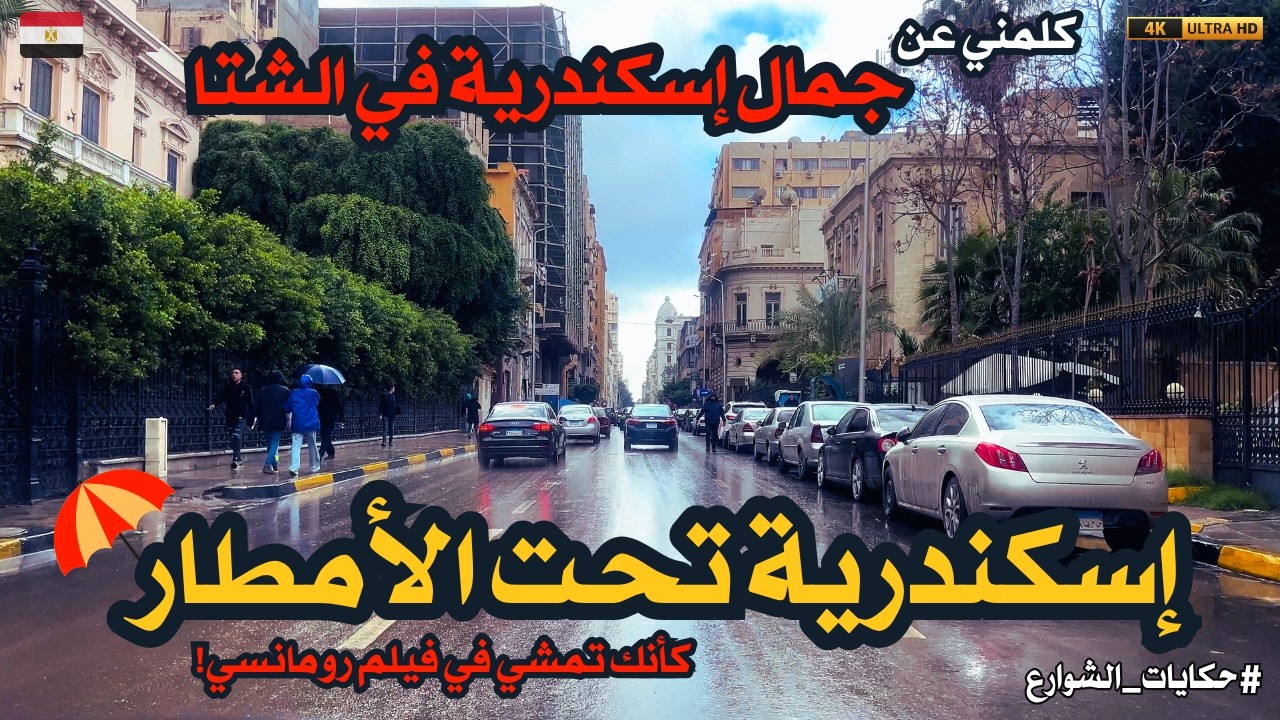 جولة جديدة فى الإسكندرية تحت الأمطار في عدد من الأحياء|كلمني عن جمال اسكندرية فى الشتا