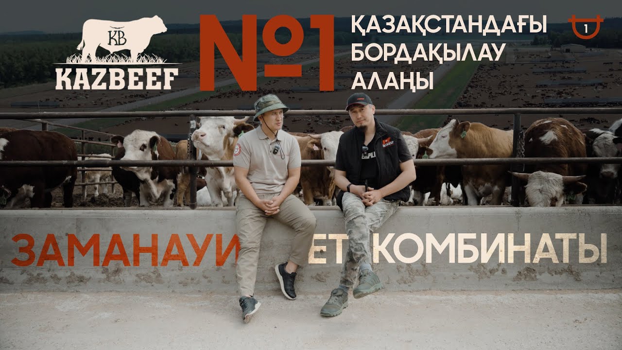 KAZBEEF \ ЖЫЛЫНА 30 МЫҢ БАС МАЛ АЙНАЛЫМЫ БАР КОМПАНИЯНЫҢ ҚҰПИЯСЫ\ МАЛ СЕМІРТУ ТӘСІЛДЕРІ