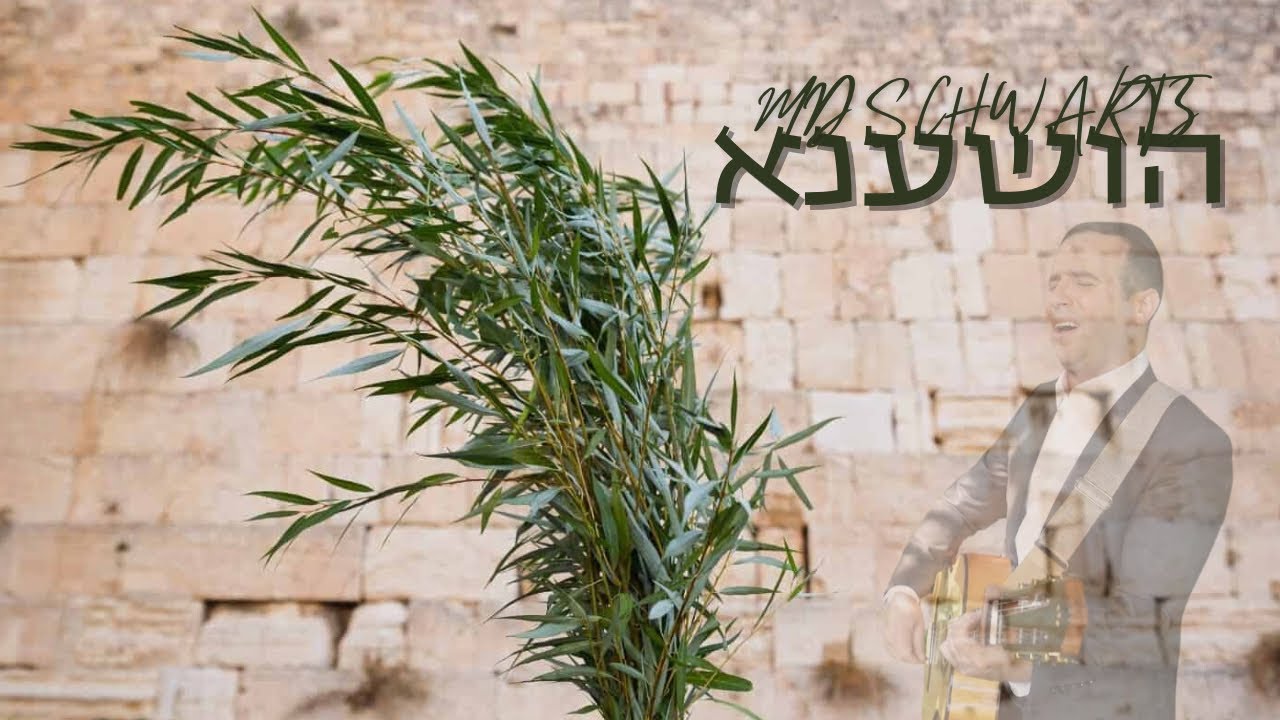 MD Schwartz - Hoshana  | הושענא Music Video