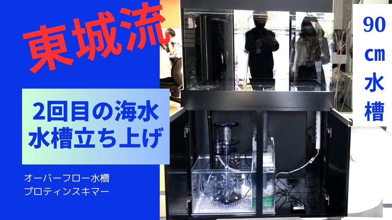 2回目の水槽立ち上げ　オーバーフロー水槽　プロテインスキマー