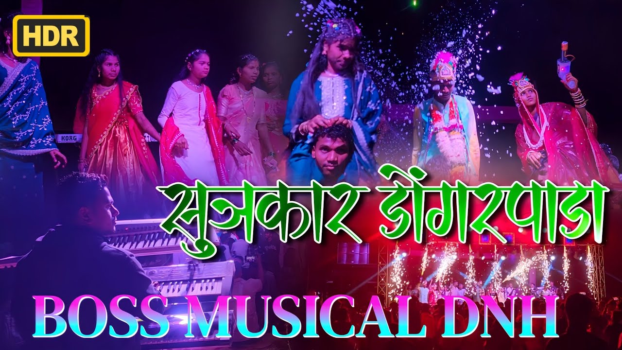 Boss Dj Musical DNH Full Setup Riyan Light Show 🔥 Radhu Bhai Aadiwasi ♥️ 