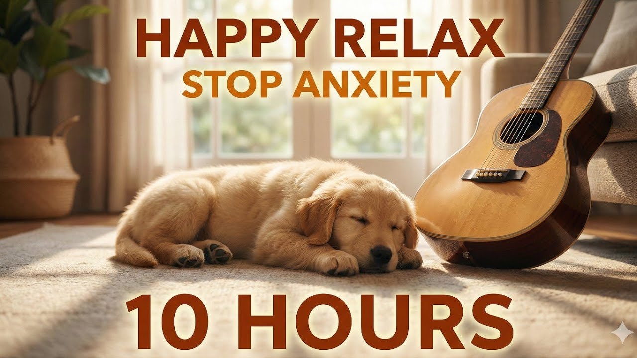 ​[Happy Relax 🎸] 10 Hours Calming Music for Dogs Home Alone 🏠 Separation Anxiety | 강아지 분리불안