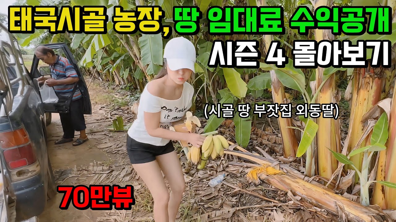 태국시골 처갓집 땅 임대료 수입부터 농장 5천평 수익, 물려주신 부지까지 시즌5 업로드 전 몰아보기