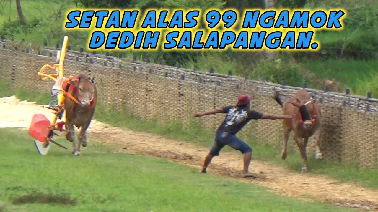 Setan Alas 99 Ngamok Dedih Salapangan Saat Latihan Di Lap Asemanis Pamekasan. 