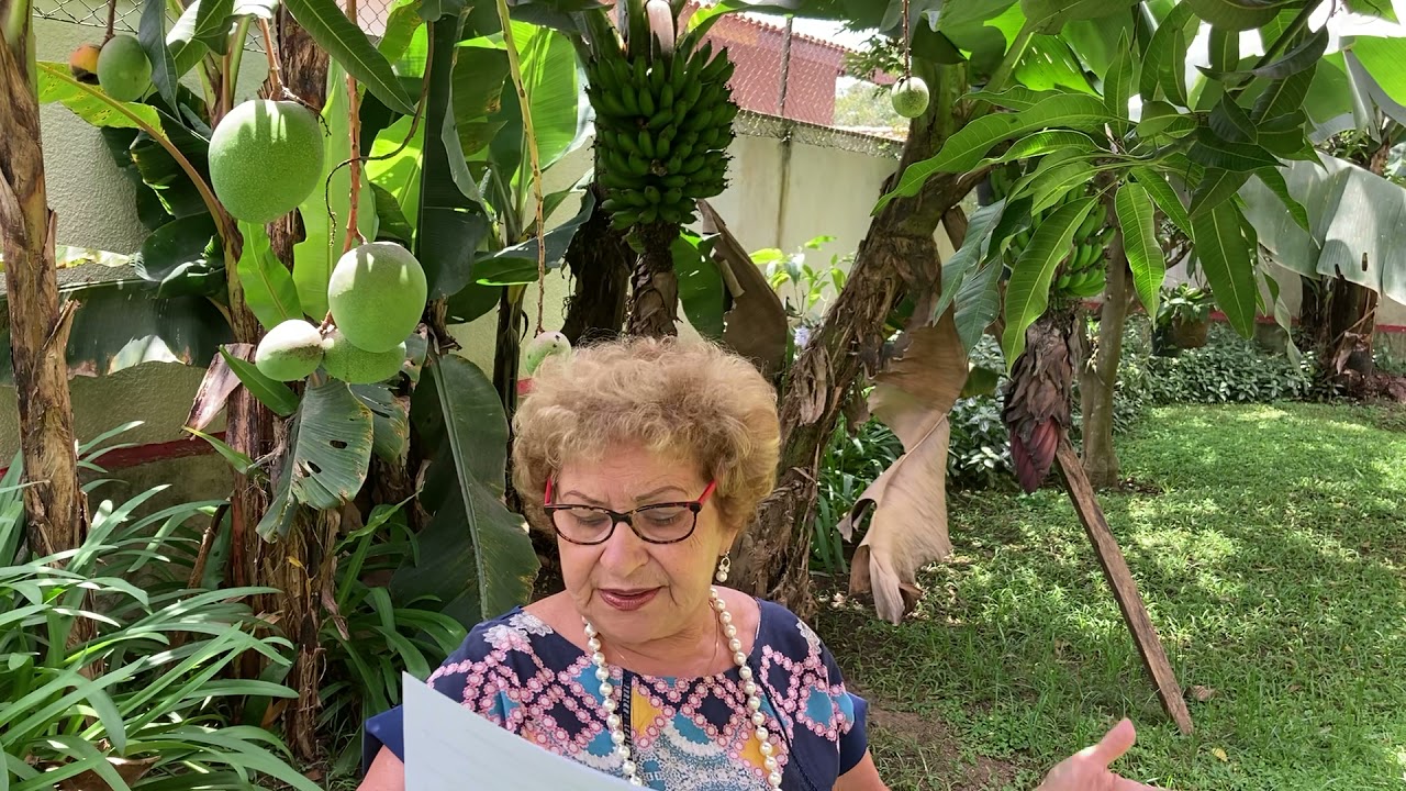 OS SEGREDOS DA AUTOESTIMA NA IDADE MADURA.