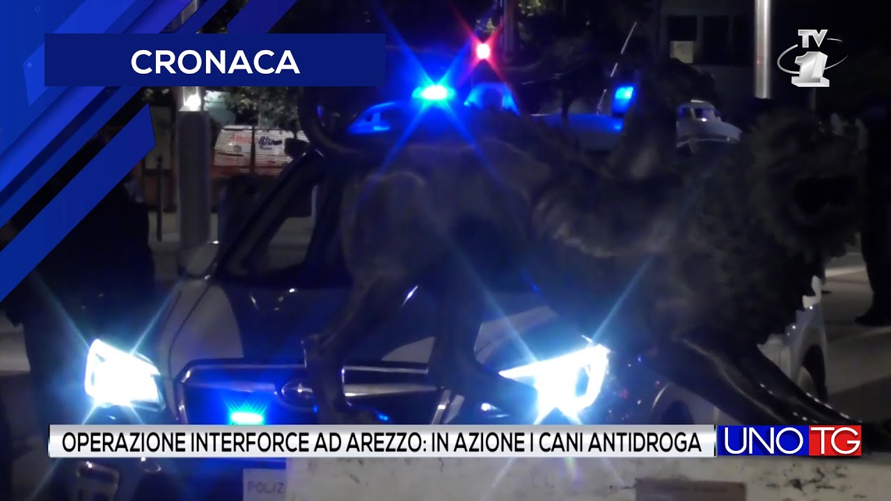 Operazione interforce ad Arezzo: in azione i cani antidroga