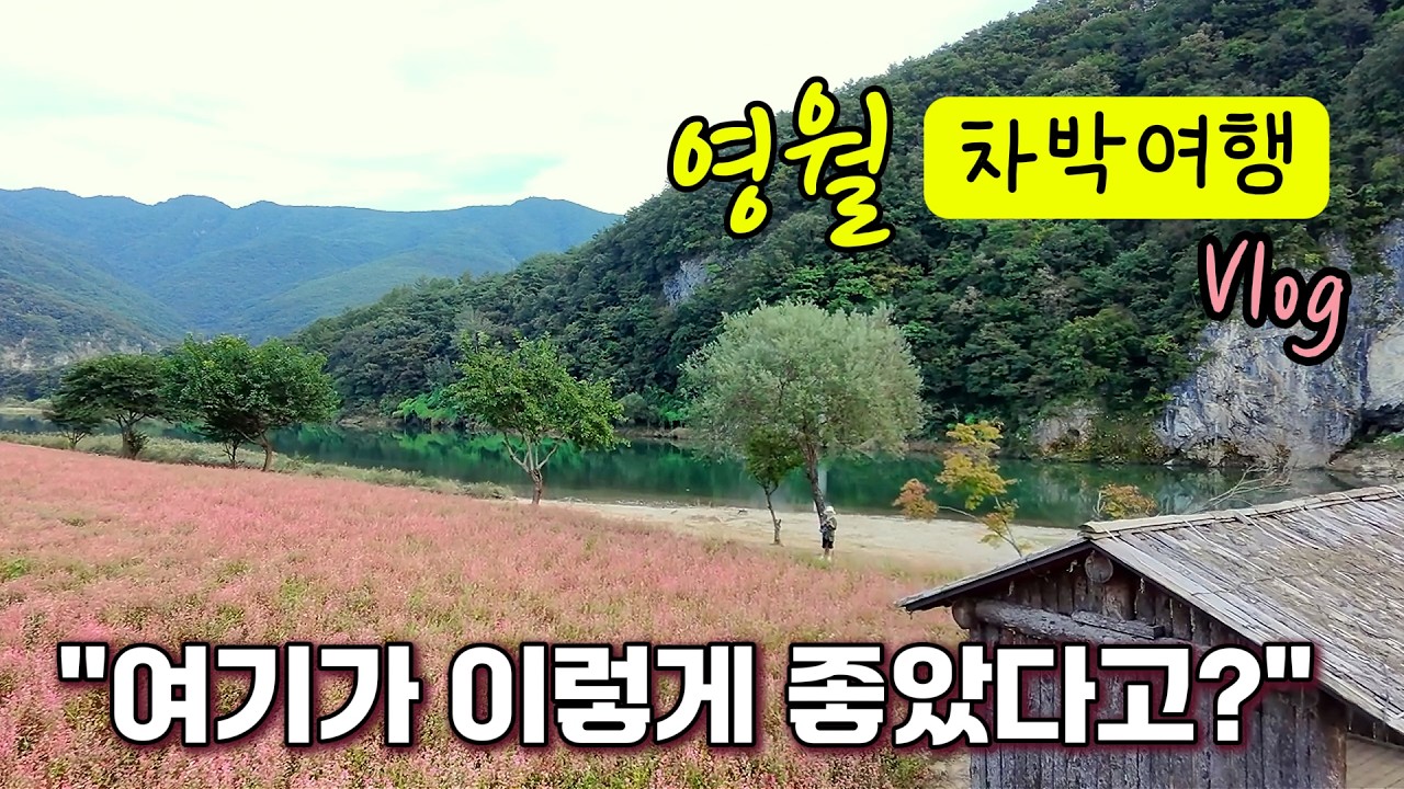 [스타리아캠핑카] 붉은메밀꽃, 지금 영월로 떠나야 하는 이유 | 동강뷰 감성여행 브이로그 | 영월차박지 소개