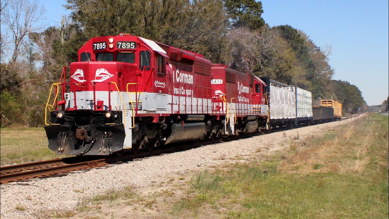 Snoot Nose SD40-2 on the mrytle beach branch RJC part 2