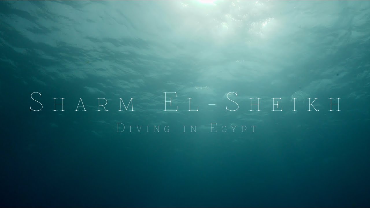 Diving in Sharm-el-Sheikh, Egypt in 4K. Phenomenal Red Sea Diving with Emperor Divers.