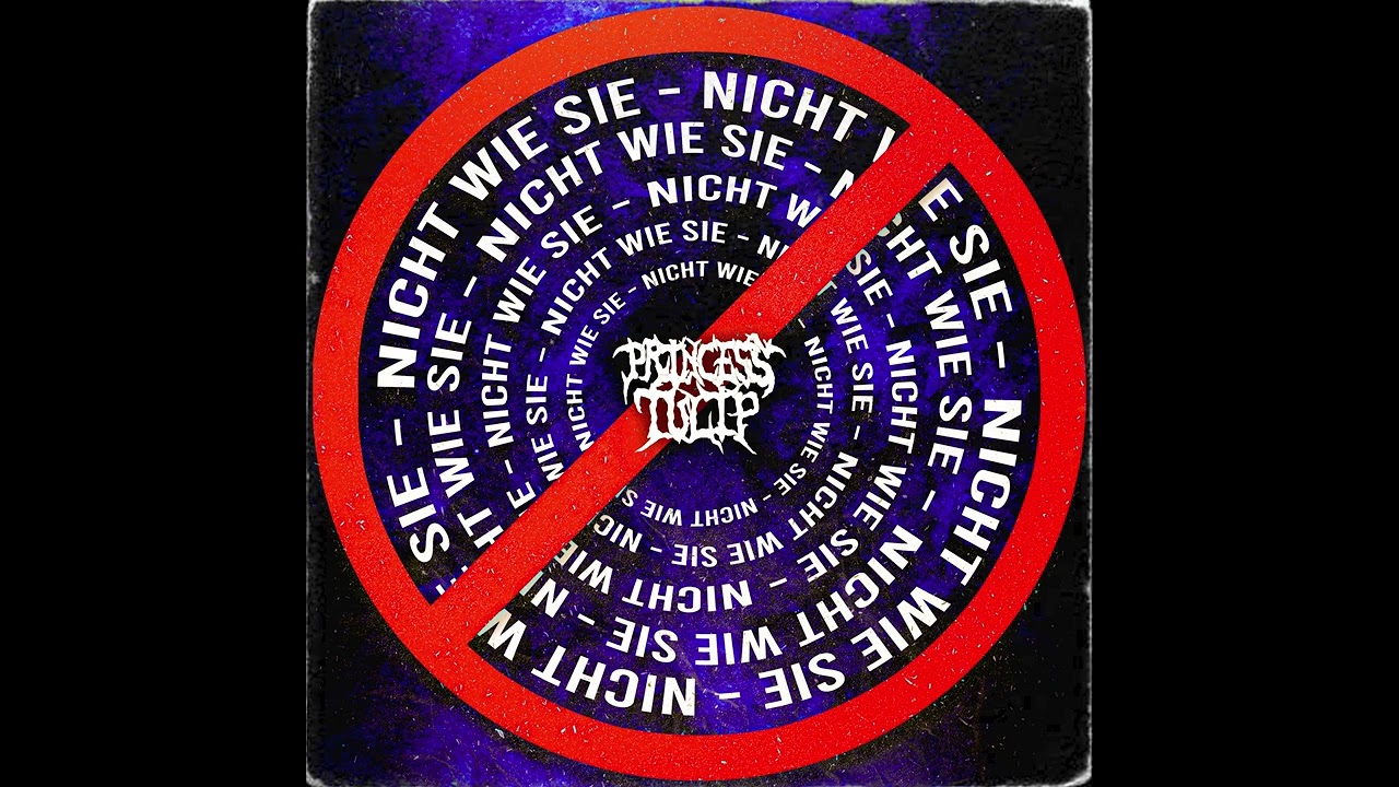 Princess Tulip & lostboyyorick - Nicht Wie Sie