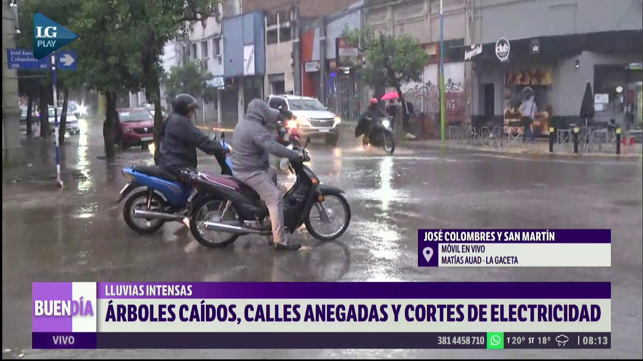 &Aacute;rboles ca&iacute;dos, calles anegadas y cortes de electricidad