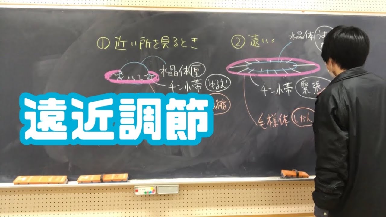 【眼③】遠近調節　高校生物