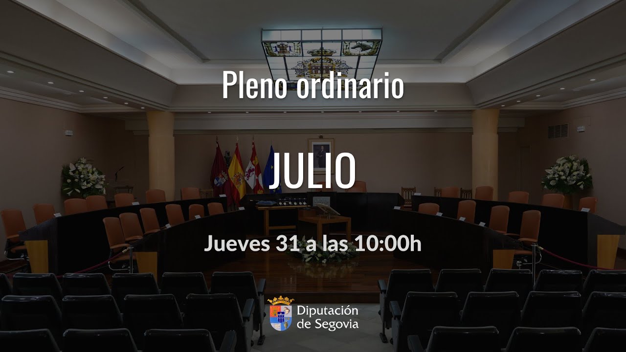 Pleno ordinario 31 de julio de 2025