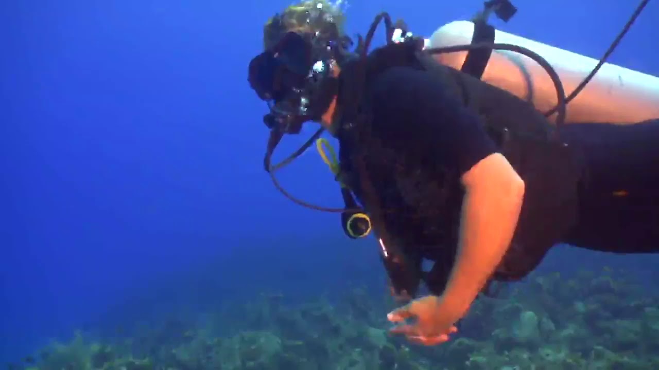 diveLIVE - Second Dive - July 26th 2018