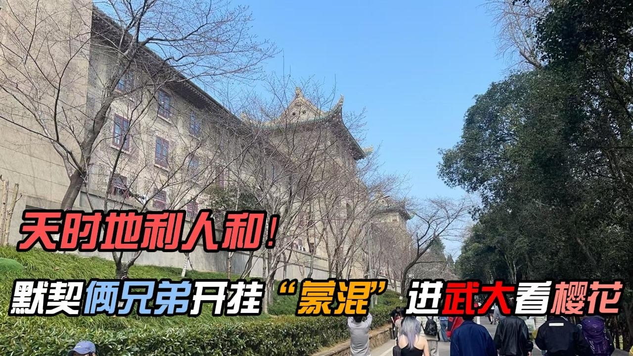 【老友记老有味】武汉之行&mdash;记录老友如何带我混进武汉大学勇&ldquo;闯&rdquo;樱园，天时地利人和缺一不可，值得铭记一生的看樱花体验~