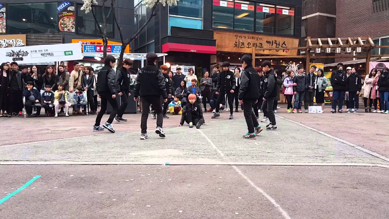 리틀 타이거즈a+