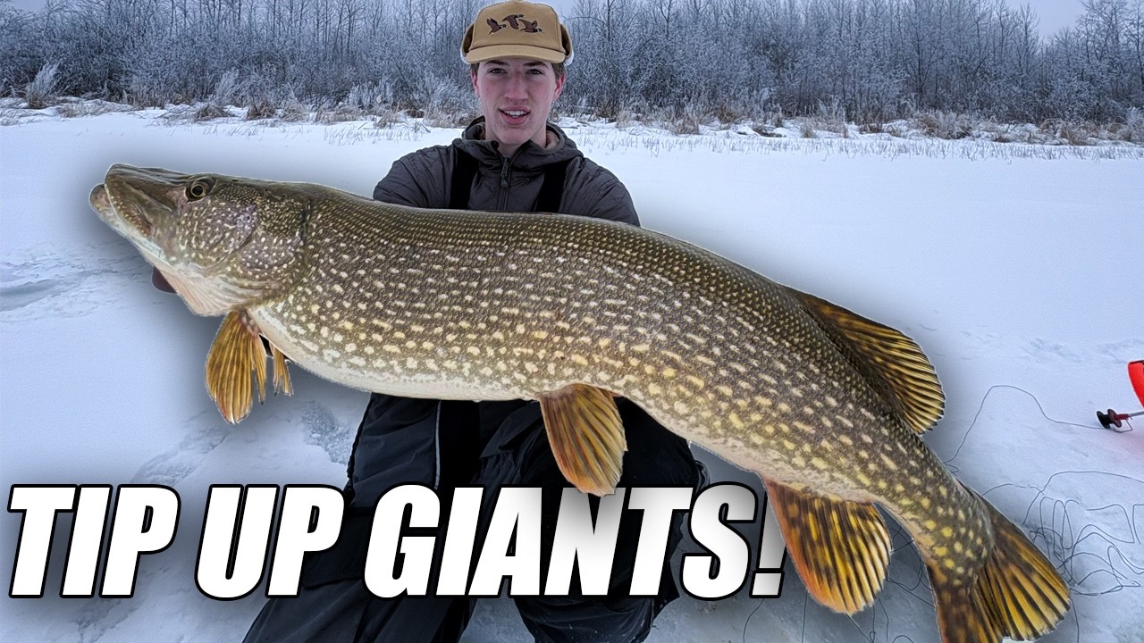 MONSTERS Live in This Lake! (Tip-up Pike Fishing)