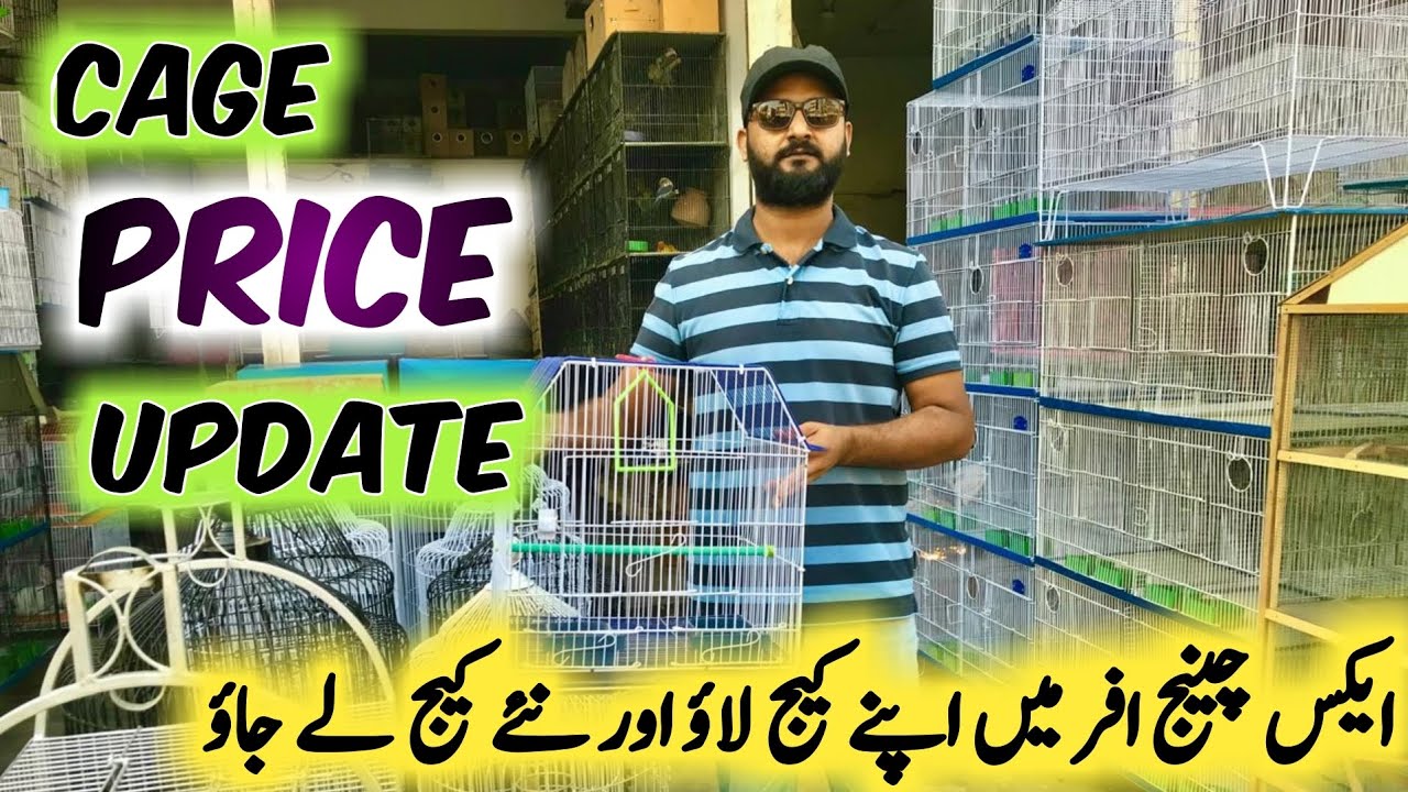 Lalukhat birds cage prics lasted update 2024 |cheap cage pric |@Alivlog197